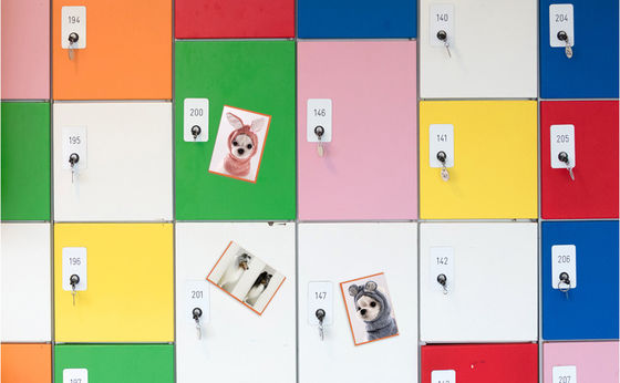 4x6" Easy To Use Size Photo Albums Magnets Frame Wall Mount Without Nailing